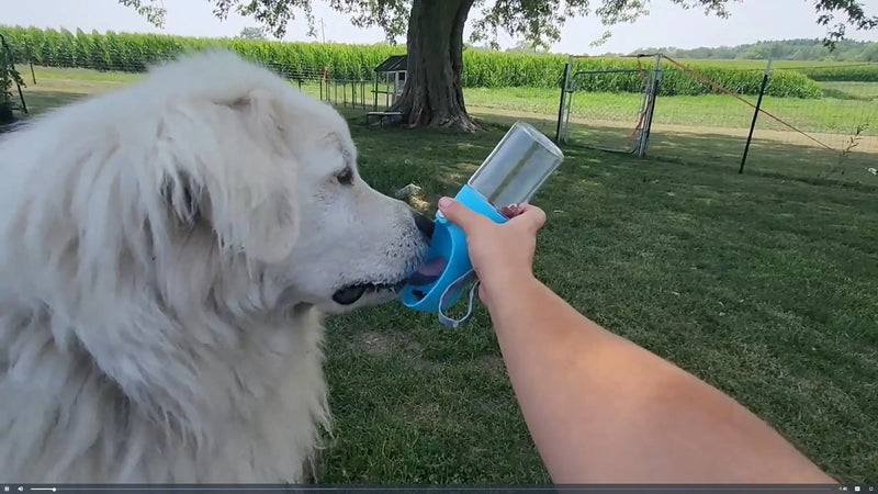 Comedouro Portátil Canino Prático Para Passeio